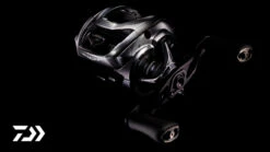 Daiwa 21 Steez Limited SV TW -Bester Angel Laden 32 217111r 3