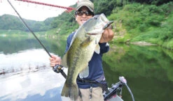 Fish Arrow Free Rig Sinker Tungsten -Bester Angel Laden FA 4573251342053r 5