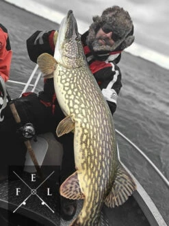 Eastfield Wingman Curly 23cm, 77g 9 Eastfield Wingman Curly 23cm, 77g -Bester Angel Laden wingman curlr 3