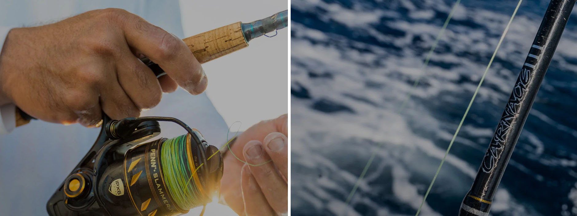 Bester Angel Laden -Bester Angel Laden gjgj